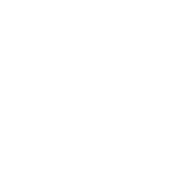 Meta Business Partner